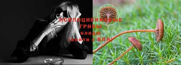 apvp Медногорск