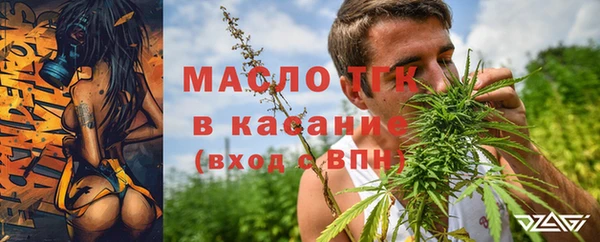 сатива Медвежьегорск