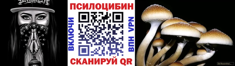 дарнет шоп  Злынка  Галлюциногенные грибы MAGIC MUSHROOMS 